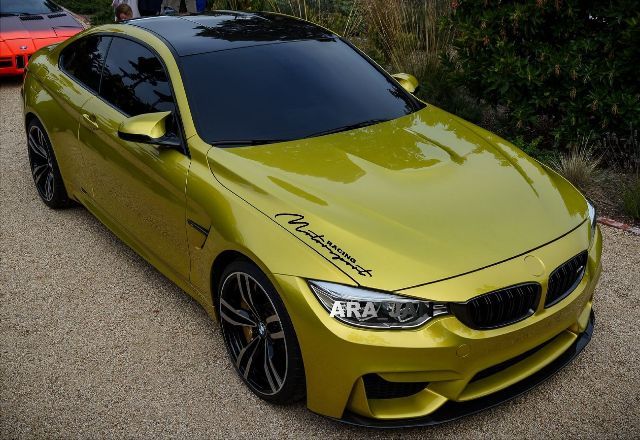 Motorsport racing Vinyl Decal Sticker sport racing car emblem hood logo BLACK