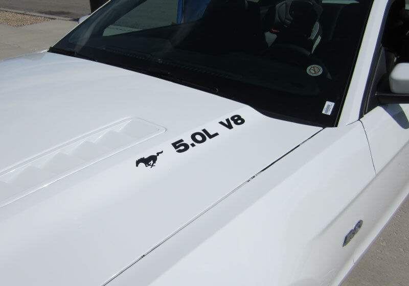 Musclecar Musclecarmodel 5.0 V8 WITH PONY HOOD DECAL PAIR 2011 - 2020 VINYL STICKER