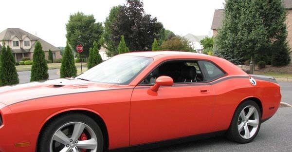 2008 & Up Dodge Challenger Pinstripe  Bodyline Side Stripe Kit