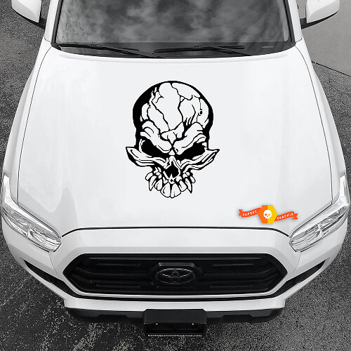 Vinyl Decals Graphic Stickers Car hood Big Skull with drawing 2022
