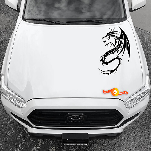 Vinyl Decals Graphic Stickers Car hood New Dragons abstract 2022 - 6
