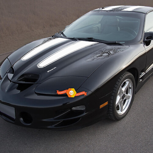 Dual Stripes Hood Roof Tailgate Vinyl Decal Kit for Pontiac Firebird Trans Am