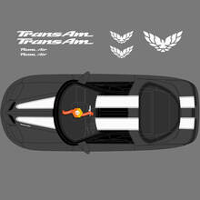 New Firebird Pontiac Stripe Trans Am Hood Roof Tailgate Bird Decal Graphic Pontiac Stickers Decals
 2