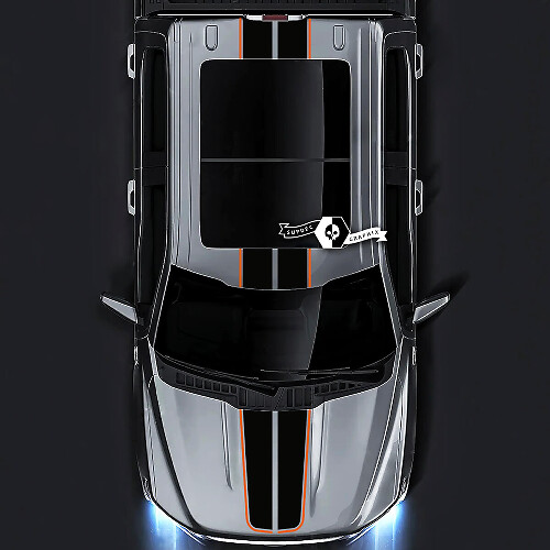 Ford F-150 XL XLT STX LARIAT Hood Roof Tailgate Trim Graphics Side Decals Stickers 2 Colors
