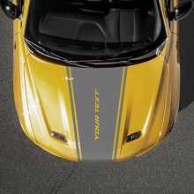 Tapering Outline Stripe Custom Text Hood Vinyl Decal for Dodge Hornet_2