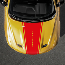 Tapering Outline Stripe Custom Text Hood Vinyl Decal for Dodge Hornet_3