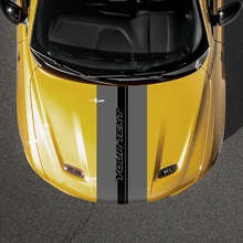 Custom Text Hood Stripe Vinyl Decal for Dodge Hornet_3