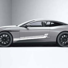 Vinyl Decal Stripes for Side Doors 4 Pack for Aston Martin DB11 2