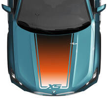 BMW X5 G05 Hood Wrap Accent Central Decal - Vinyl Graphics Stickers
 2