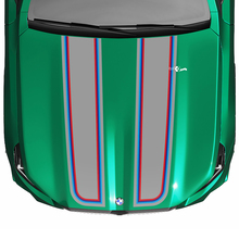 Stripes Racing M colors Checkered Flag Hood Decal for BMW 5 Series G60 M5 G90
 3