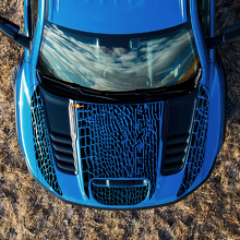 Dinosaur Skin Style Hood and Rear Side Vinyl Decal Kit for Dodge Ram_2