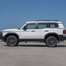 Side Doors Accent Stripes Decals Vinyl Stickers Graphic 2 For Toyota Land Cruiser 3