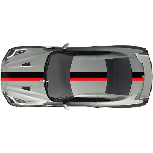 Full Body Dual Racing Stripes Decal Kit for Nissan GT-R
 1