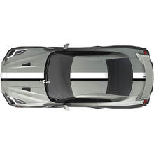 Full Body Dual Racing Stripes Decal Kit for Nissan GT-R
 2