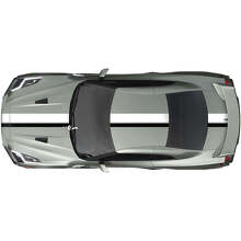 Full Body Dual Racing Stripes Decal Kit for Nissan GT-R
 2