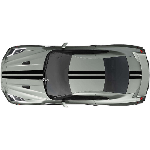 Full Body Dual Racing Stripes Decal Kit 2 for Nissan GT-R