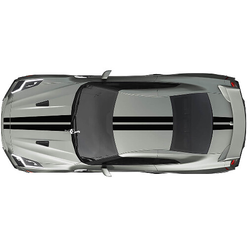 Full Body Dual Racing Stripes Decal Kit for Nissan GT-R one colour
