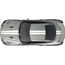 Full Body Dual Racing Stripes Decal Kit for Nissan GT-R one colour
 2