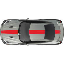 Full Body Dual Racing Stripes Decal Kit for Nissan GT-R one colour
 3