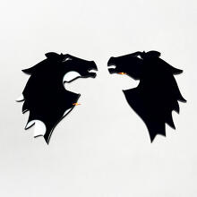 Bronco Fender Badges Tailgate Emblem 3D Badge
 10