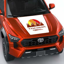 Toyota Tacoma Vintage Stripes Topographic Map Side Hood Tailgate decals Stickers
 3