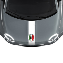 Stripe Italy Flag Hood Stripe Decal Sticker Graphics for Fiat 500
 2