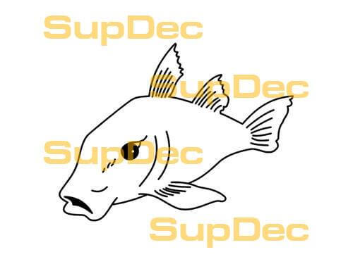 Fish Outline Vinyl Decal For Car 