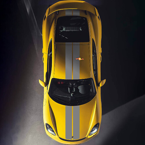 Dual Hood Roof Stripes Decal Sticker for Porsche Cayman 718
