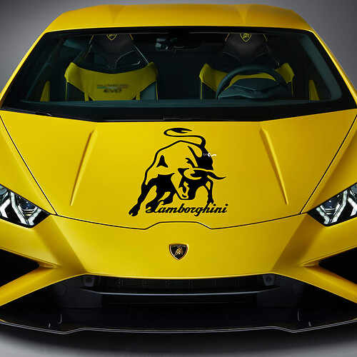 Side Rear Fender Bull Graphics Racing Vinyl Decal Sticker Graphics for Lamborghini Huracan Evo
