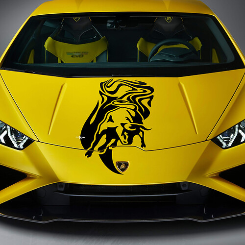 Hood Bull Graphics Racing Vinyl Decal Sticker Graphics for Lamborghini Huracan Evo
