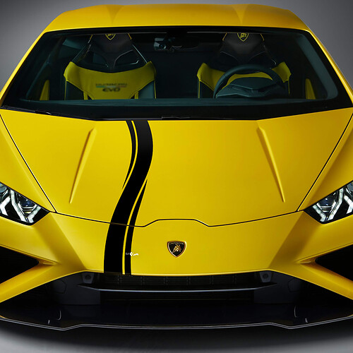Hood Checkered Stripe Racing Vinyl Decal Sticker Graphics for Lamborghini Huracan Evo
