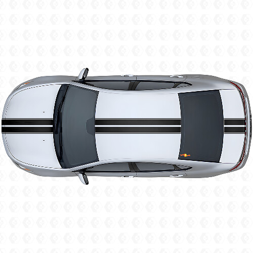 Dual Outline Stripes Upper Side Vinyl Decal Kit for Dodge Dart 2013+
