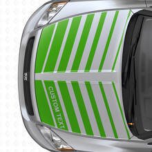 Custom Dual Strobe Stripes Hood Vinyl Decal Set for Dodge Caliber 2007+_3