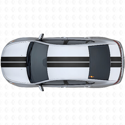 Dual Stripes Front Upper Rear Vinyl Decal Kit for Dodge Dart 2013+_1