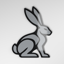 Hare 3D Acrylic Car Badge_4