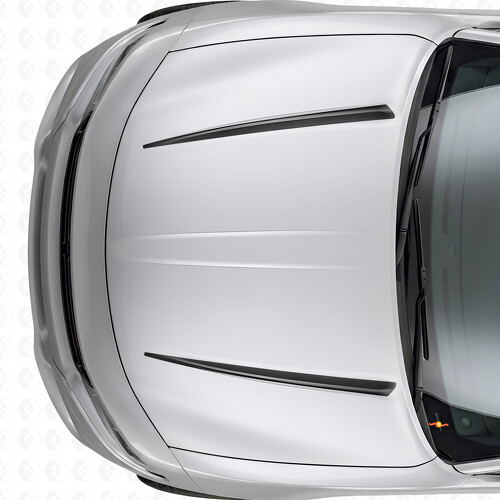 Dual Tnin Stripes Hood Vinyl Decal Sticker for Dodge Charger 2015-2026