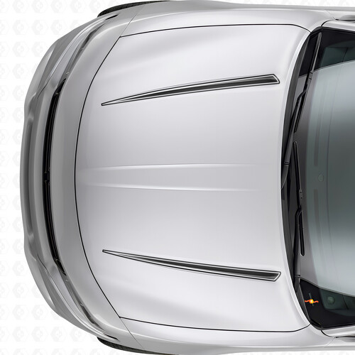 Dual Tnin Outline Stripes Hood Vinyl Decal Sticker for Dodge Charger 2015-2026
