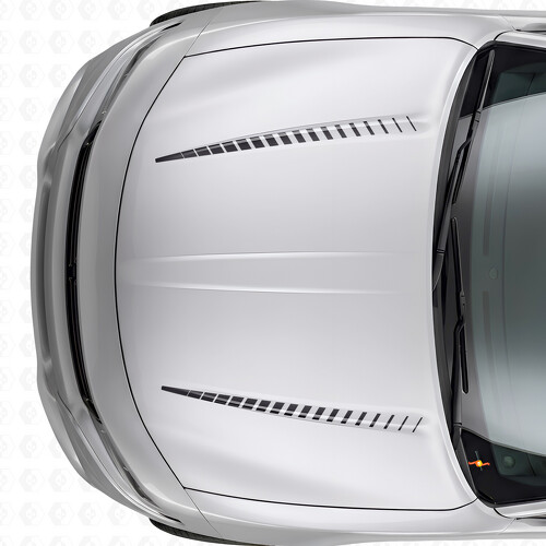 Dual Tnin Strobe Stripes Hood Vinyl Decal Sticker for Dodge Charger 2015-2026