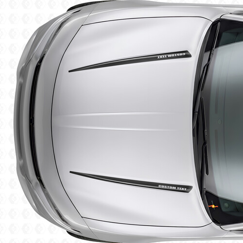 Dual Custom Stripes Hood Vinyl Decal Sticker for Dodge Charger 2015-2026