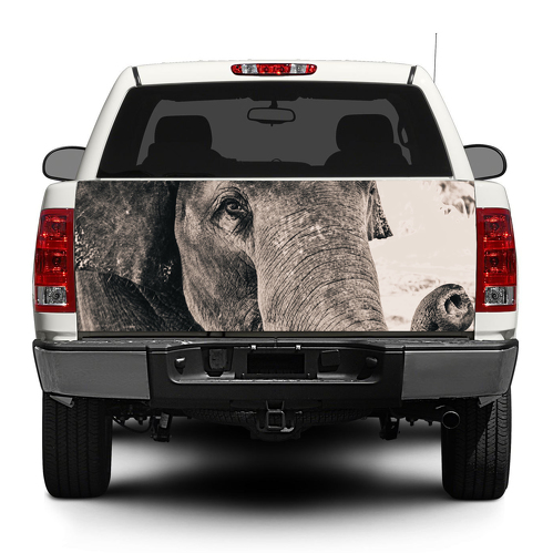 Elephant Wild animal Africa Decal Sticker Wrap Pick-up Truck SUV Car