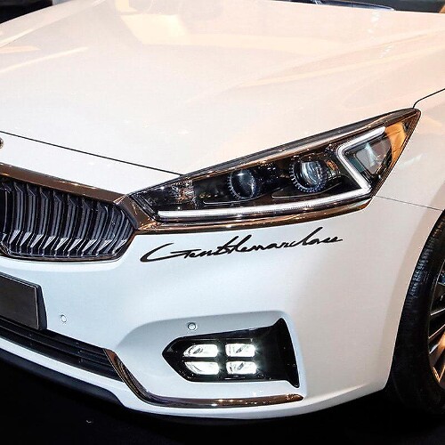 Lettering Emblem Logo Vinyl Decal for Musclecar