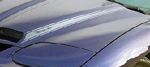 Blackbird Hood Scoop Stripe Vinyl Decals for Pontiac Firebird