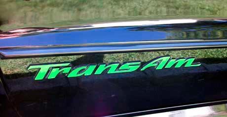 Door emblem lettering overlay Stickers Decals made to fit 93-02 Trans Am
