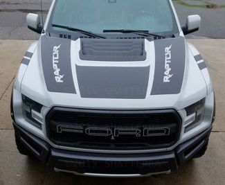 2017 Ford Raptor F-150 Dual Hood Graphic Vinyl Stripe Decal Predator Svt Rph-003