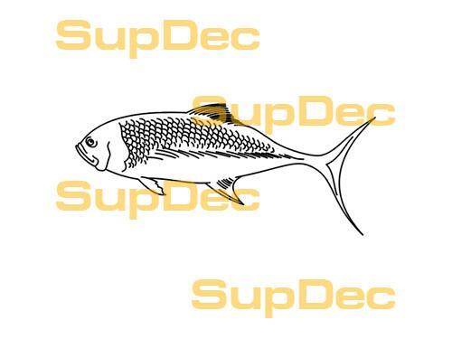 FISH Vinyl Art Wall  Window Bathroom Sticker Decal removable #4
