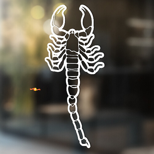 Desert Scorpion Outline Universal Vinyl Decal Sticker