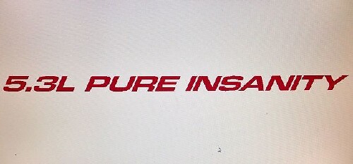 5.3L Pure Insanity Hood Vinyl Decal Set for Chevy Silverado GMC Sierra