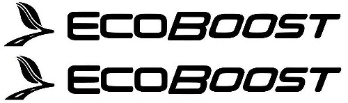Ford F-150, Fusion, Taurus, Focus, Edge Ecoboost Door Sticker Decals