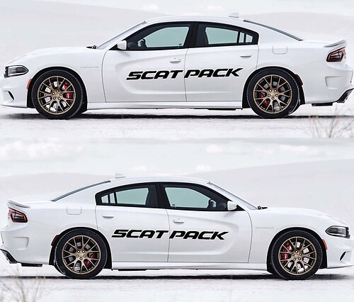 2X Dodge Charger Scat Pack Stickers Decals Vinyl Graphics Kit 2011-2020 Scatpack
