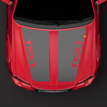 2005-2010 Chrysler 300C SRT-8 HEMI style hood Sticker Decal top blackout pre-cut
 3